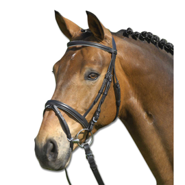 Star Trense Lifestyle sort/hvid