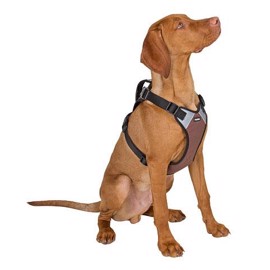 Hundesele Pulsive brun L