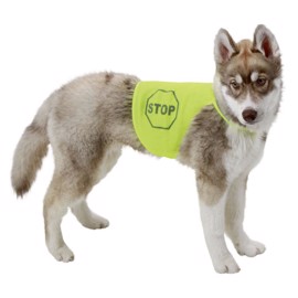 Refleksvest til hund 45-60 cm